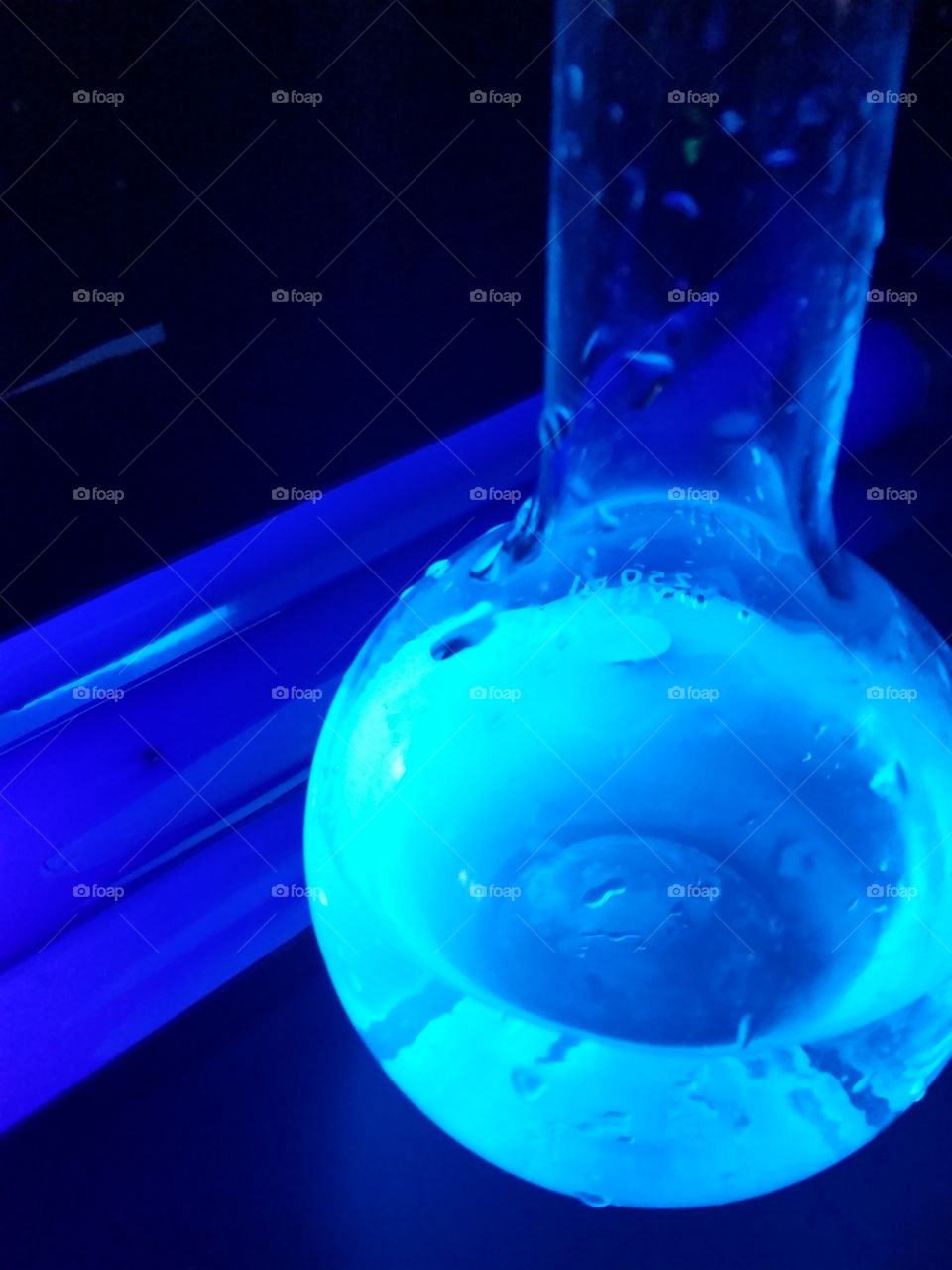 glowing chemiluminescence from quinine under blacklight. This photo is not filtered in any way! The beauty of science!