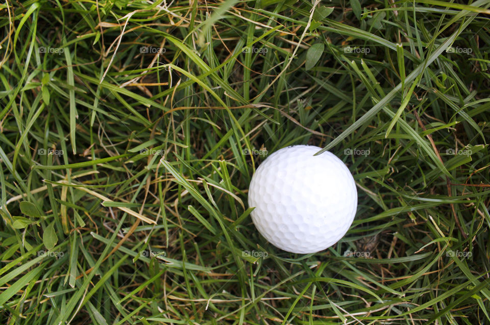 A golf ball on the grass 3