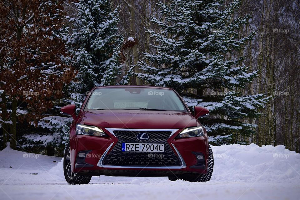 Lexus on a snowy field