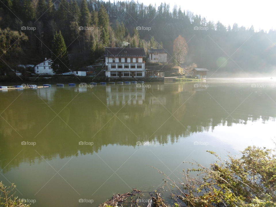 Water, Lake, River, Reflection, Tree