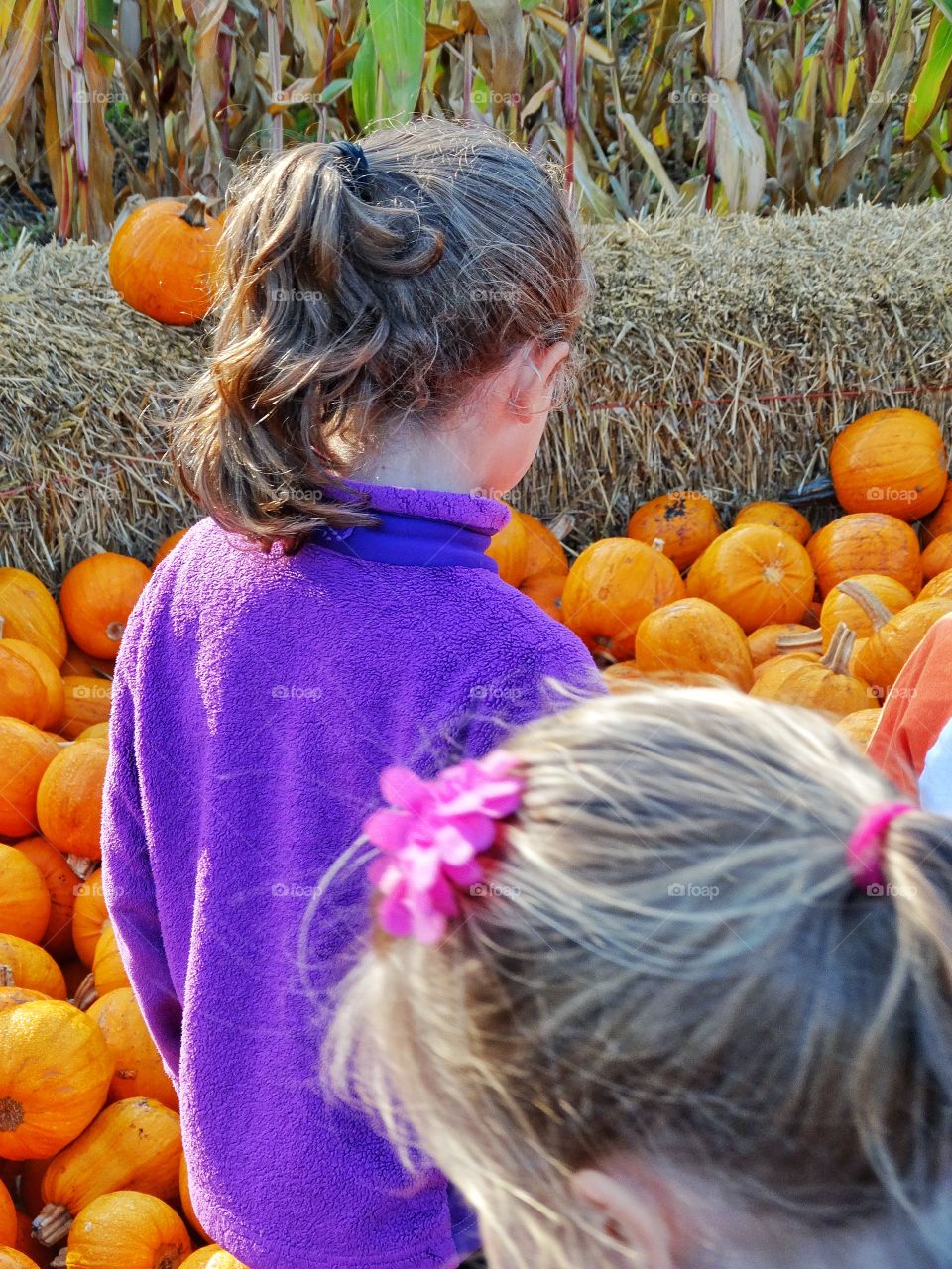 Young Girls Visiting The Pumpkin Patch
