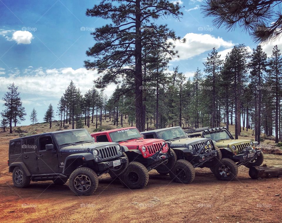 4 jeeps stacked on wheels