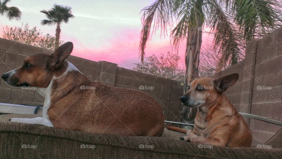 catching a few morning rays