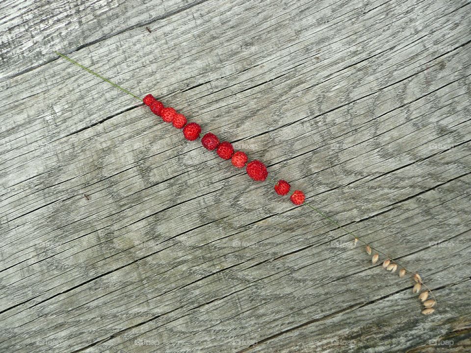 Wild strawberries