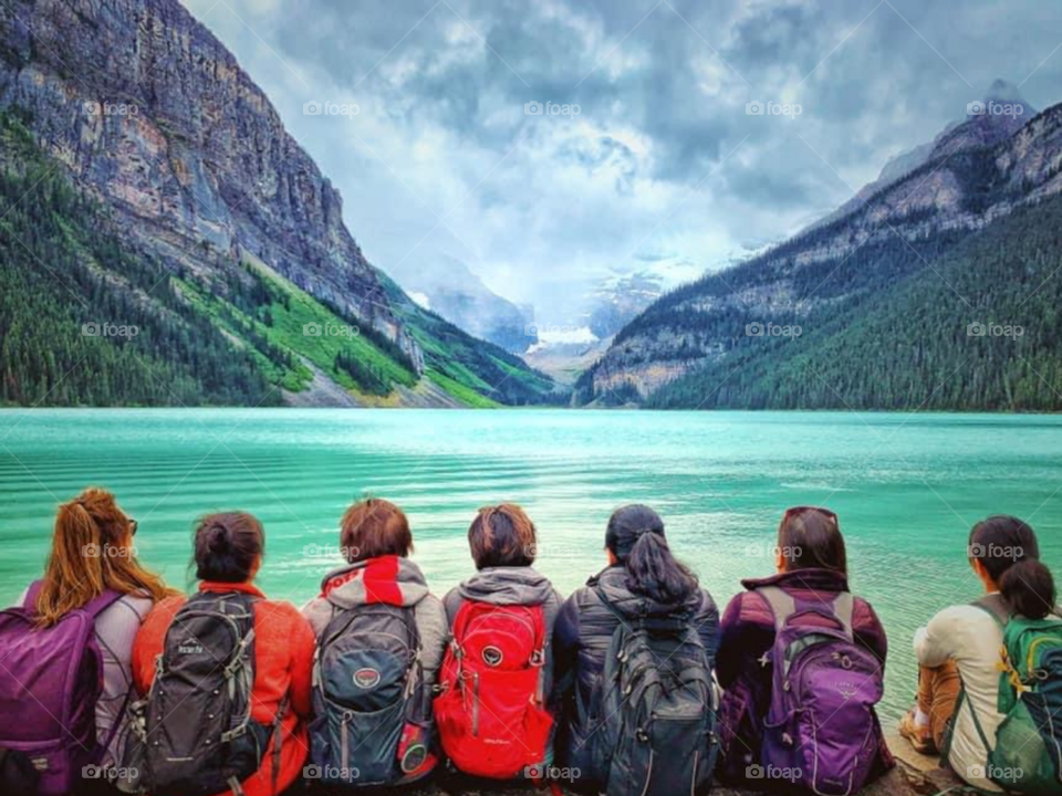 Introducing The Crowds Revolution 