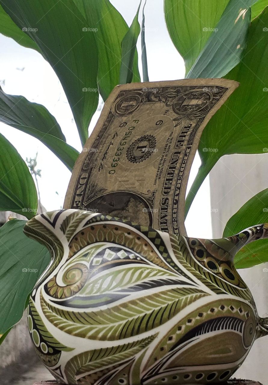 one dollar with green