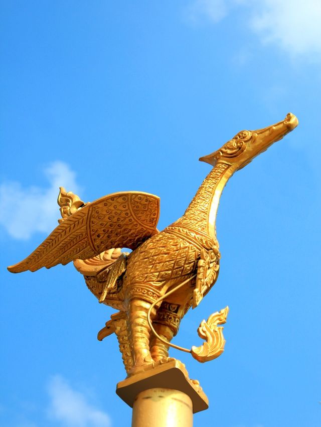 Cygnus