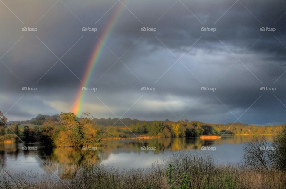sky sunny clouds trees by joannieofarc