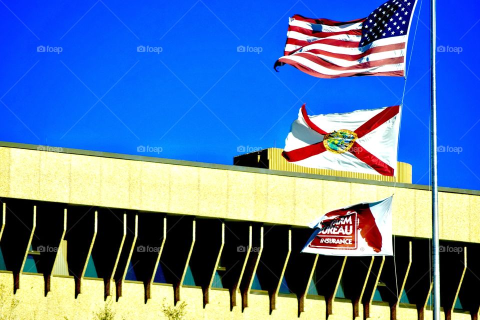 Freedom, Florida and Farm Bureau