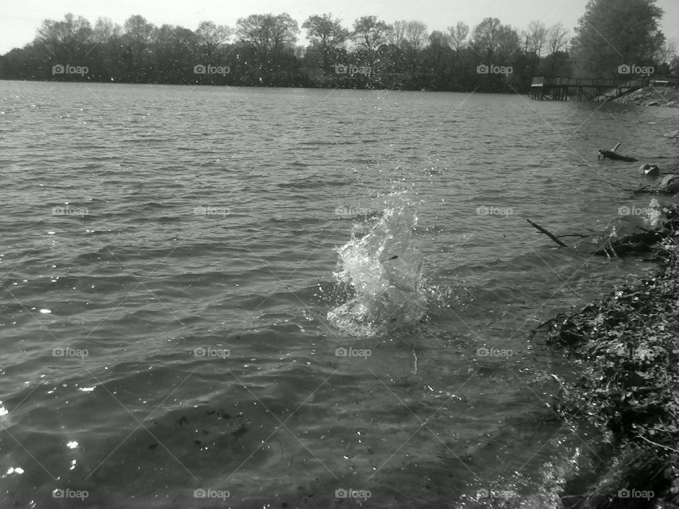 4 0f 5 rock making a splash