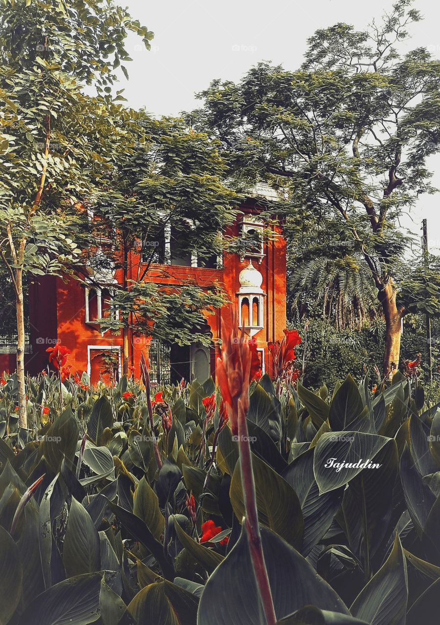 Faiz gat Aligarh muslim university ❤️