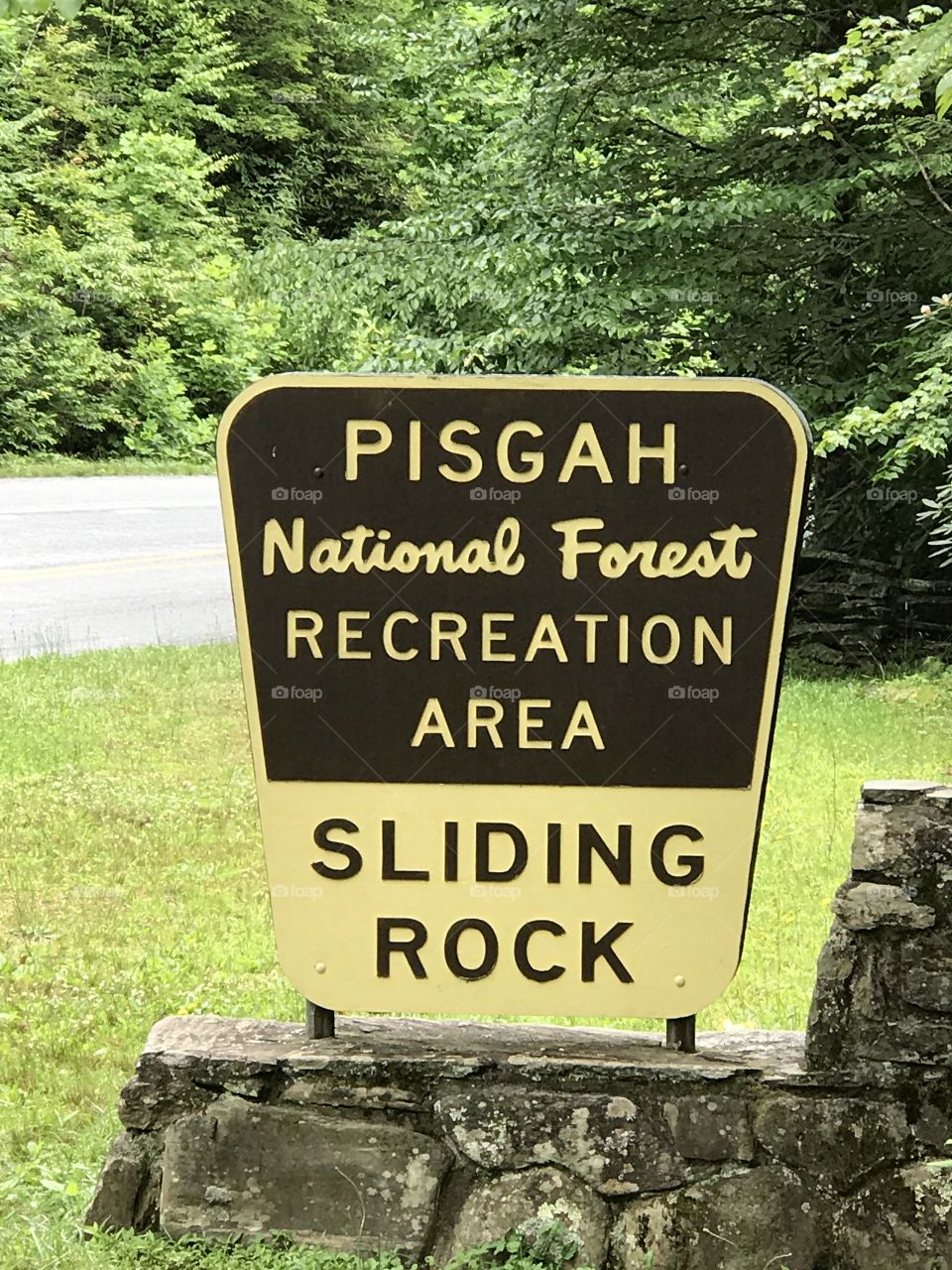 Pisgah National Forest 