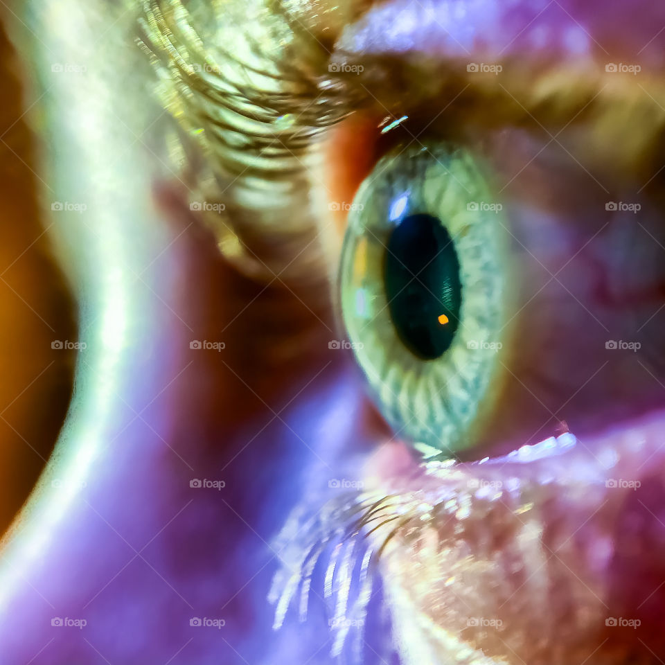 Extreme close up of a blue green human eye of a young girl, gazing into the distance