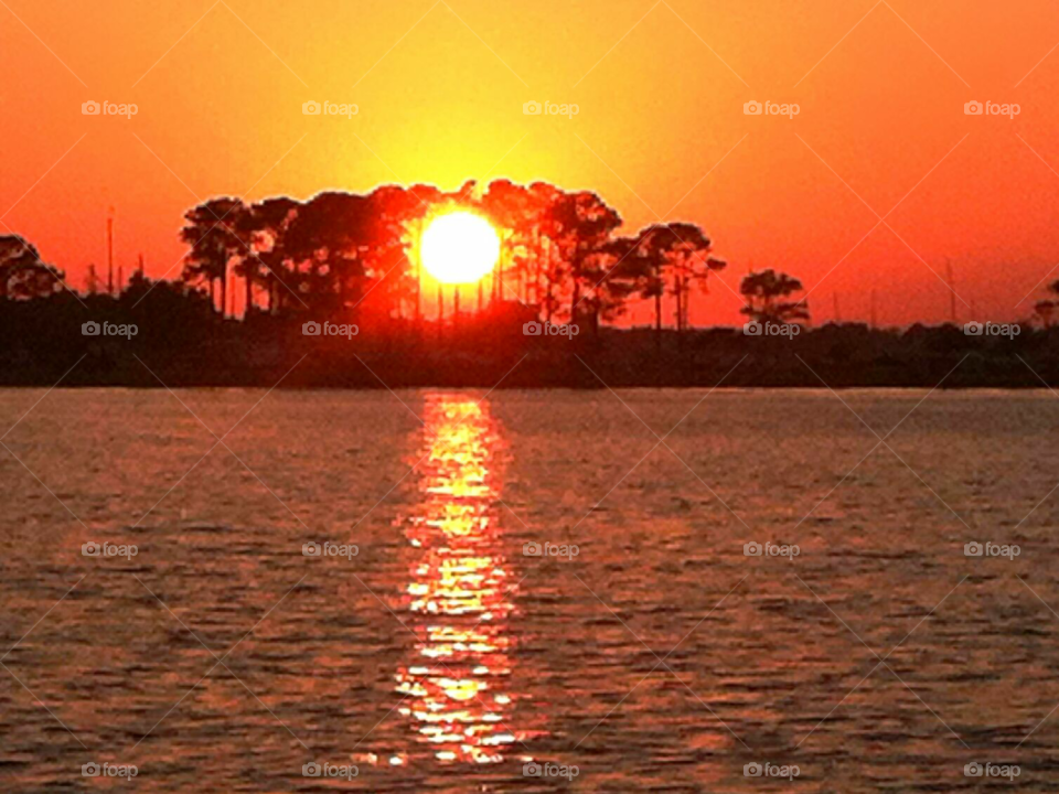 sunset over water behind tree reflection