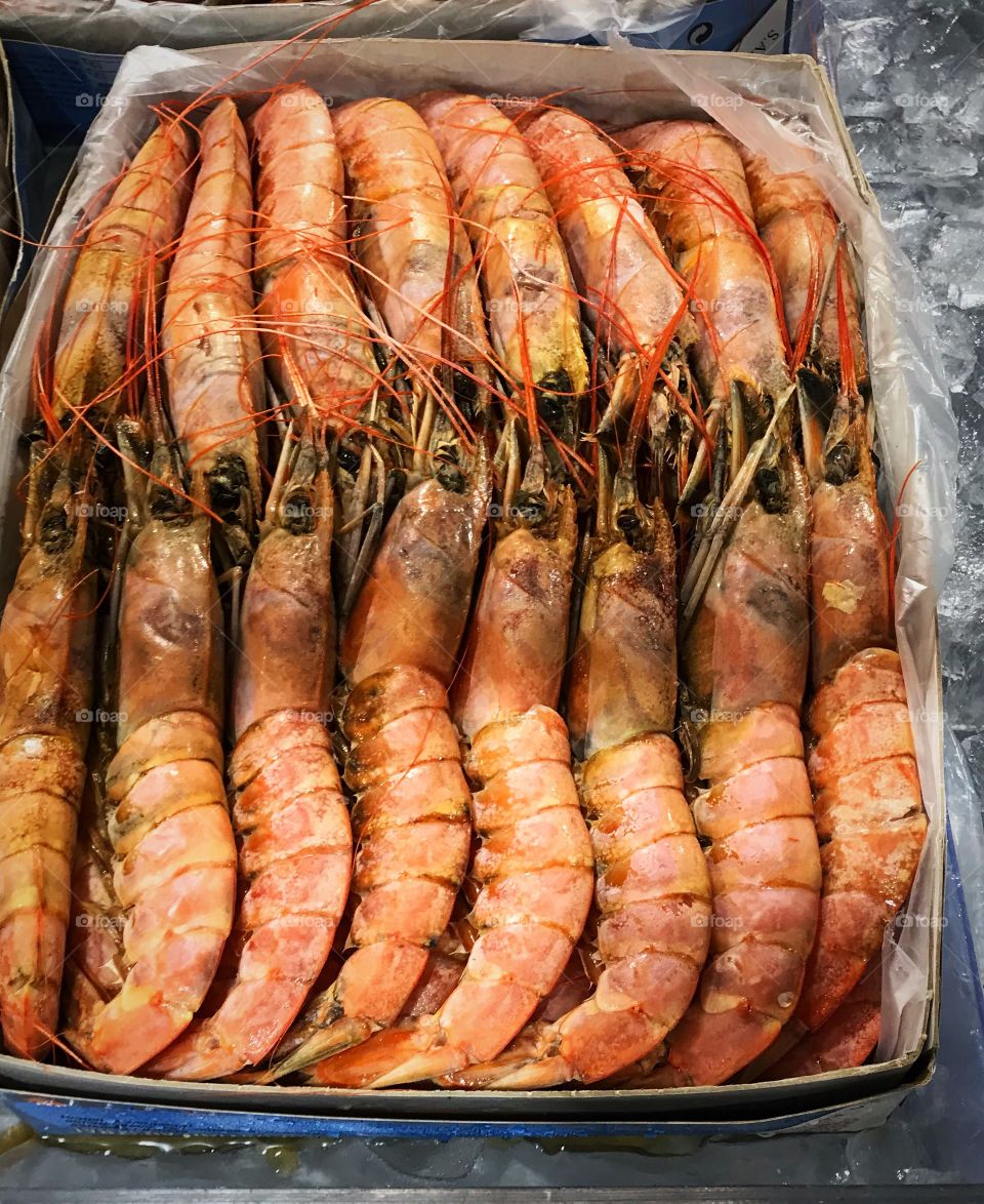 Fresh Shrimp at the Market