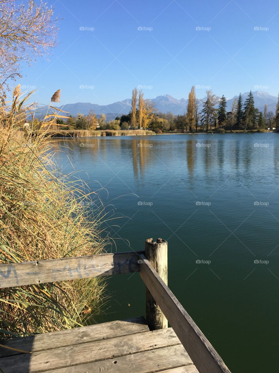 Nice place for contemplation 