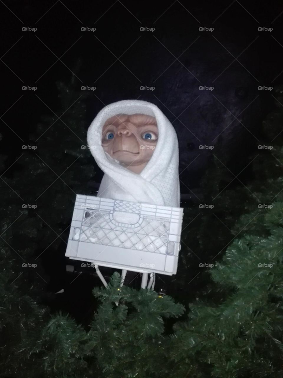 Une journée à Cologne