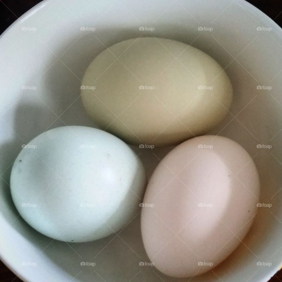 Easter Egger eggs