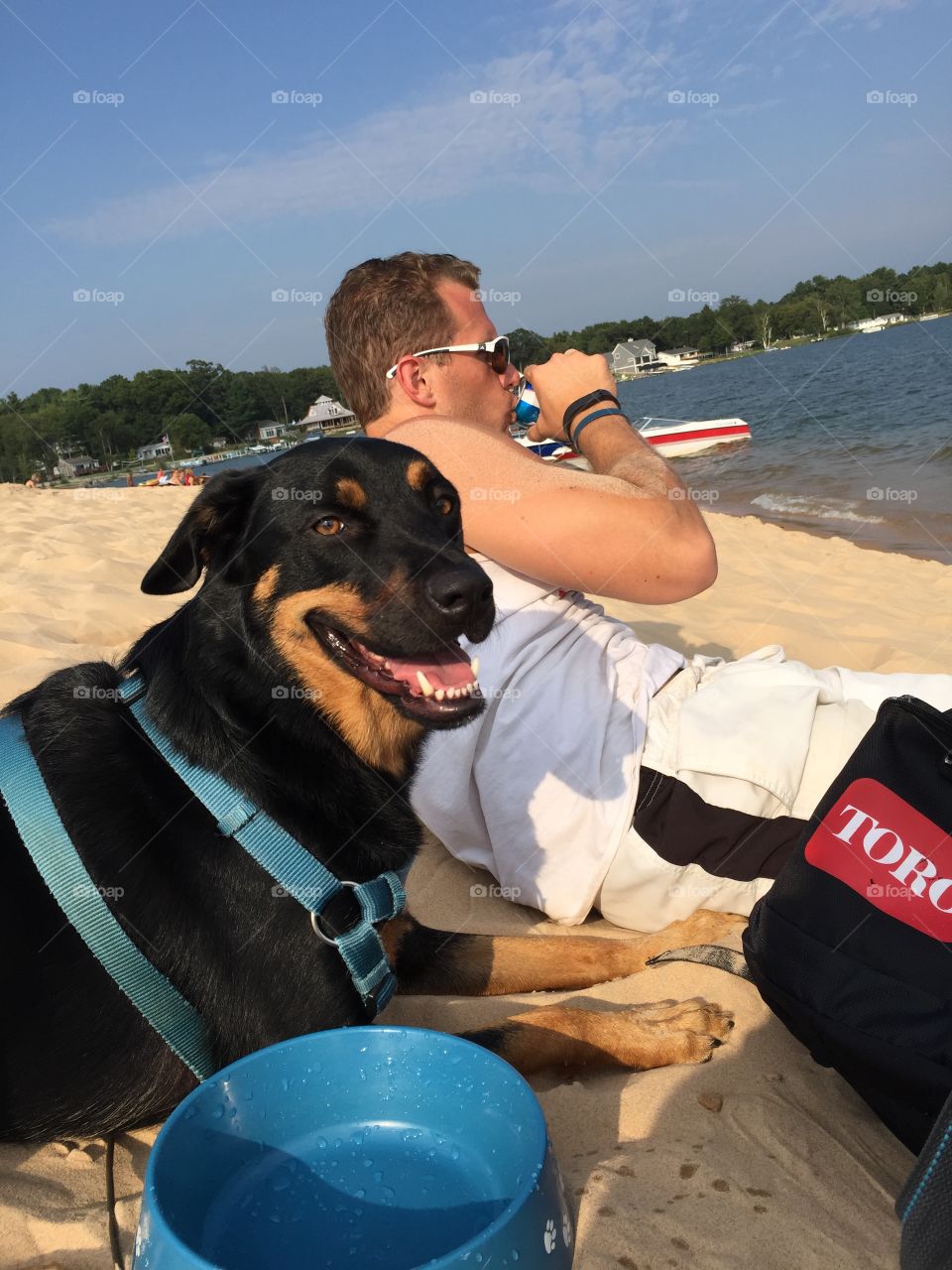 Dog at the beach 