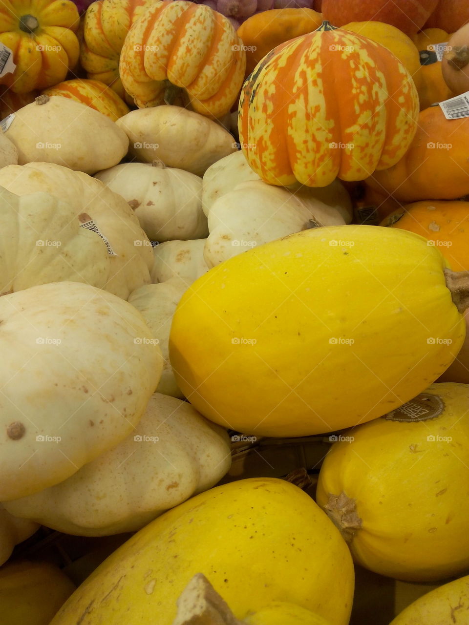 Fall vegetables - October and november harvest - Thanksgiving
