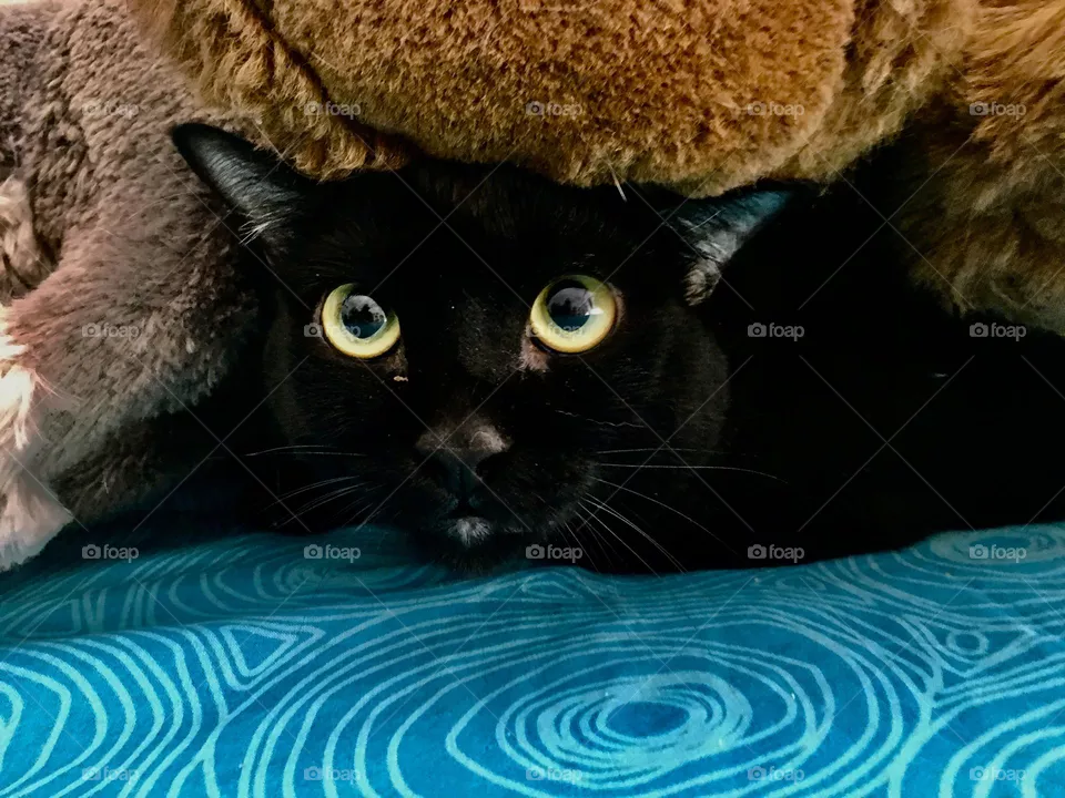 Those eyes🥰