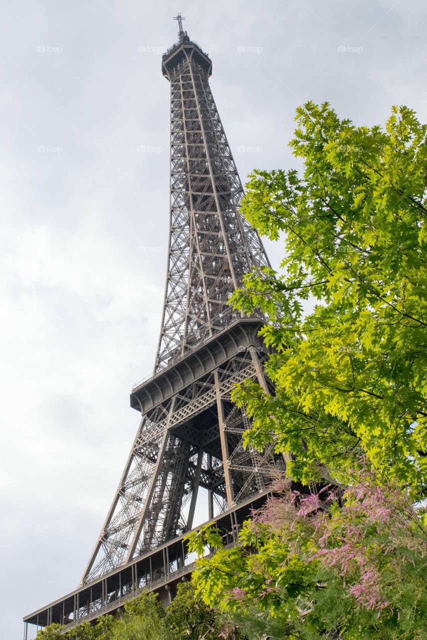 Paris Eiffel tower in garden