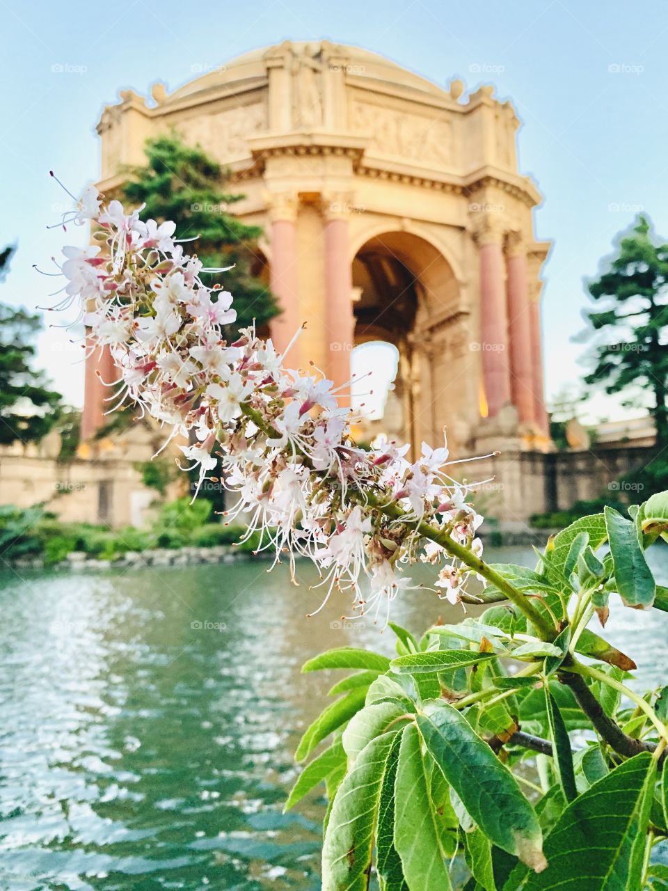 Art Palace San Francisco Portrays 