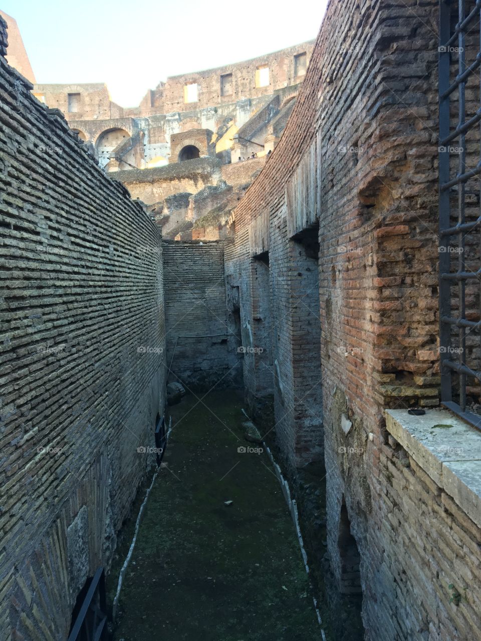 Inside the coliseum 