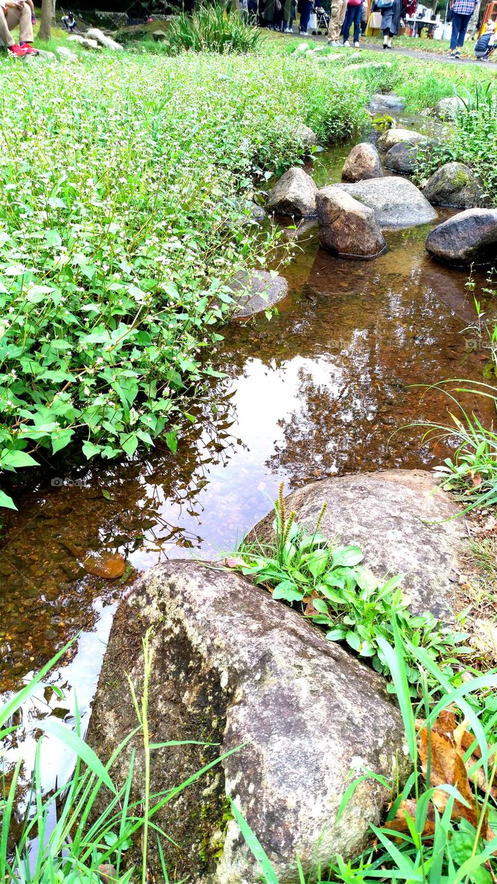 Creek  in a park