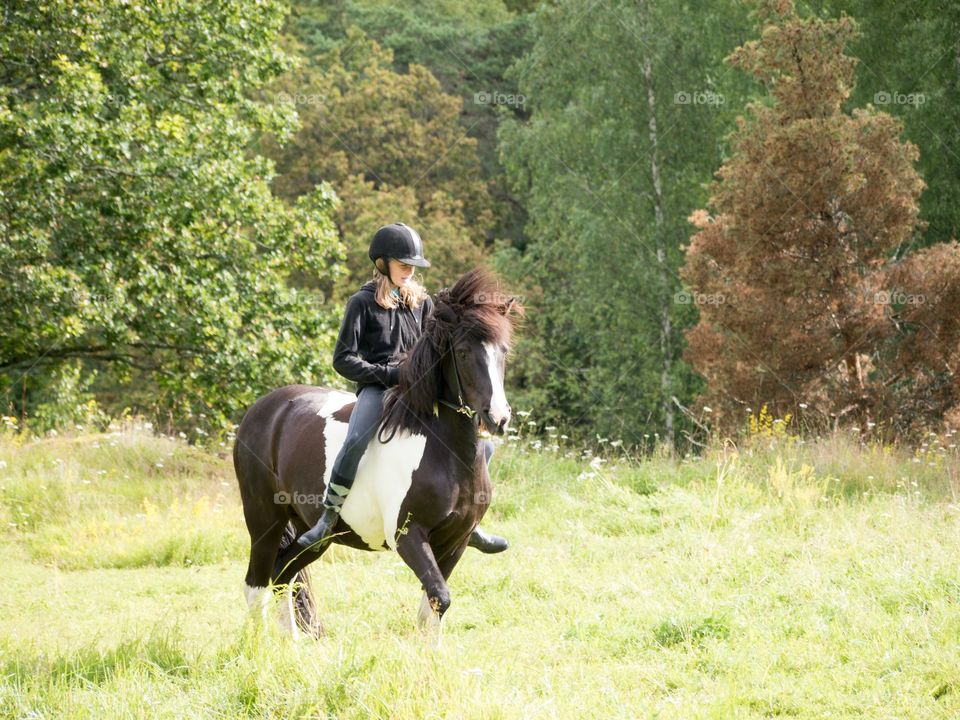 #häst #horse #islandshäst #ryttare #hästtjej #ridning #riding #horsebackriding #barbacka #Lumix Barbackaridning #trav #galopp #skritt #skritta #träns #sommar #sverige #svensksommar #sommarlov #stockholm #sweden #swedishsummer #summer 