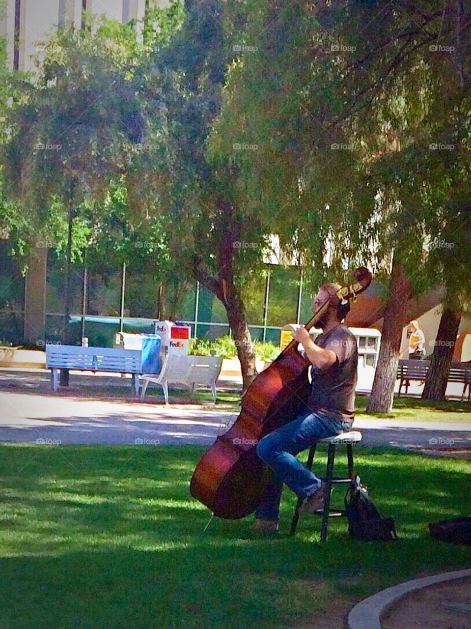 Cello Player