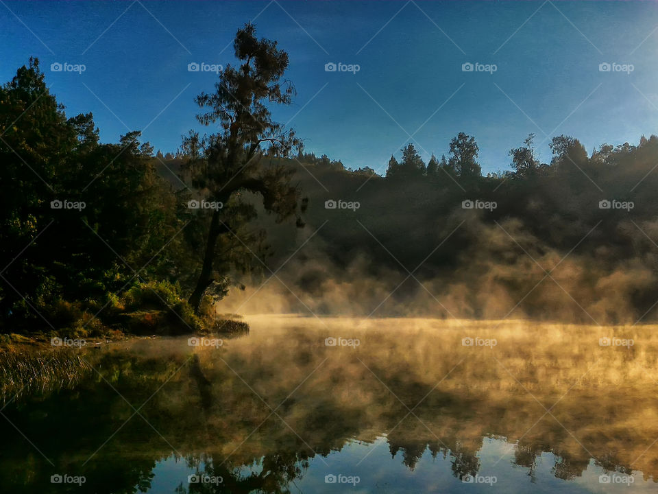 Fog over the calm lake