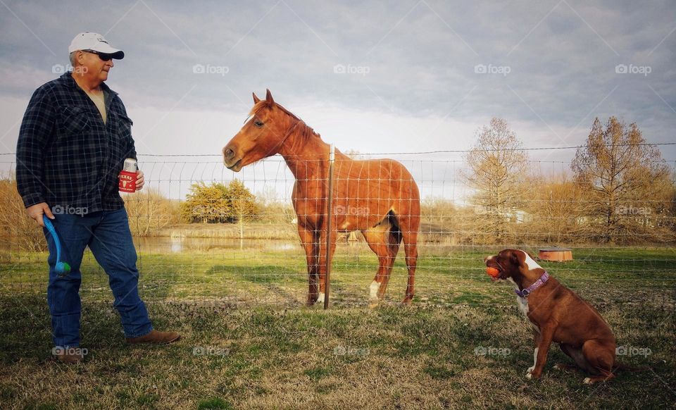 Man with Horse & Dog