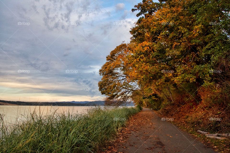 Autumn Trail