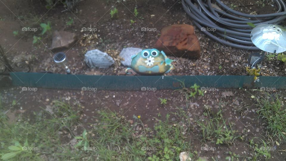 frog garden. this frog was peeking over the flower bed fence
