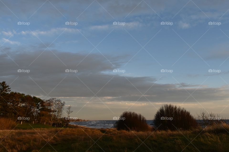 Landscape, Sunset, No Person, Dawn, Fog