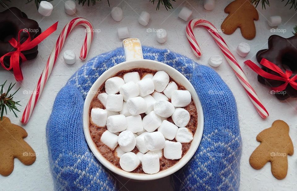 Hot chocolate with marshmallows on a winter day ❄️🍫☕