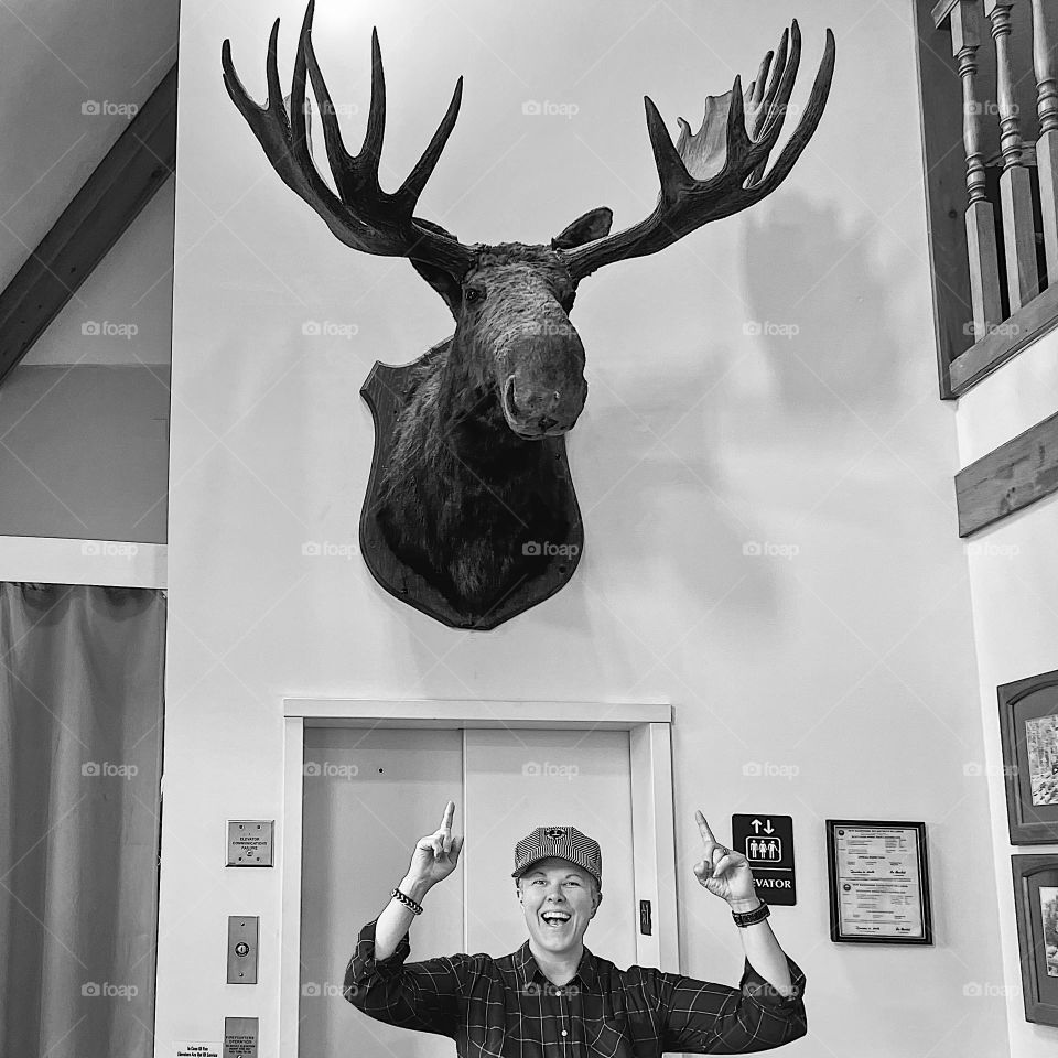 Woman excited to find a moose, woman points excitedly to a moose head, funny expressions with moose heads, woman poses with moose head 