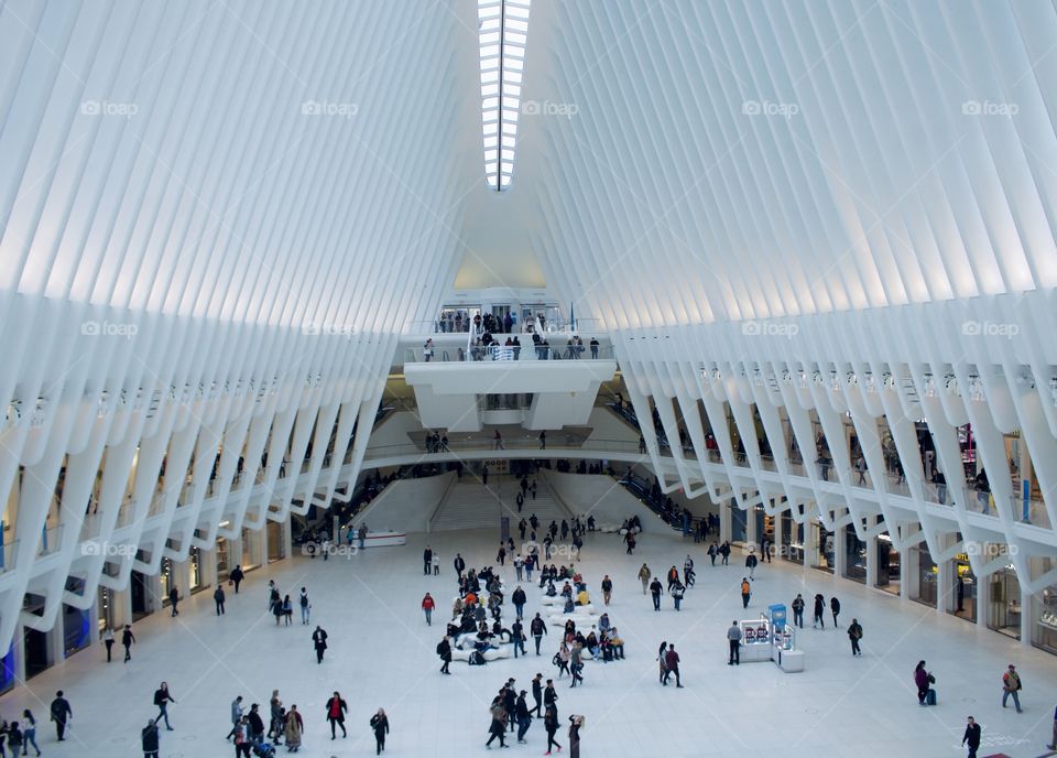 The Oculus 