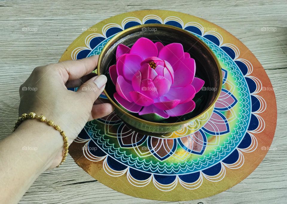 A hand with gold bracelet holds beautiful lotus 