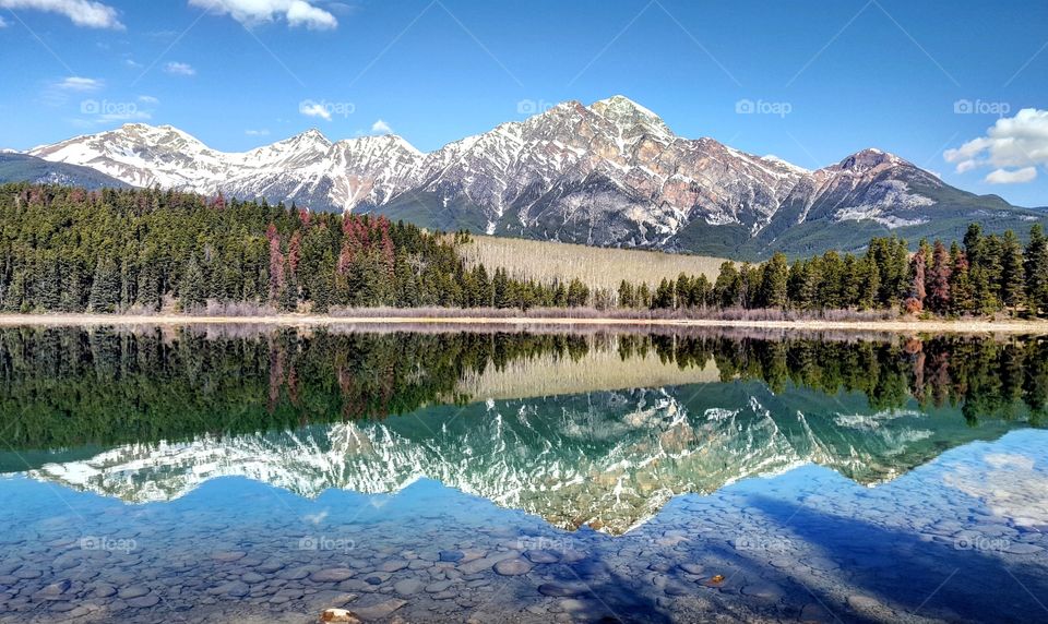 Snowy mountain and tree reflected on lake