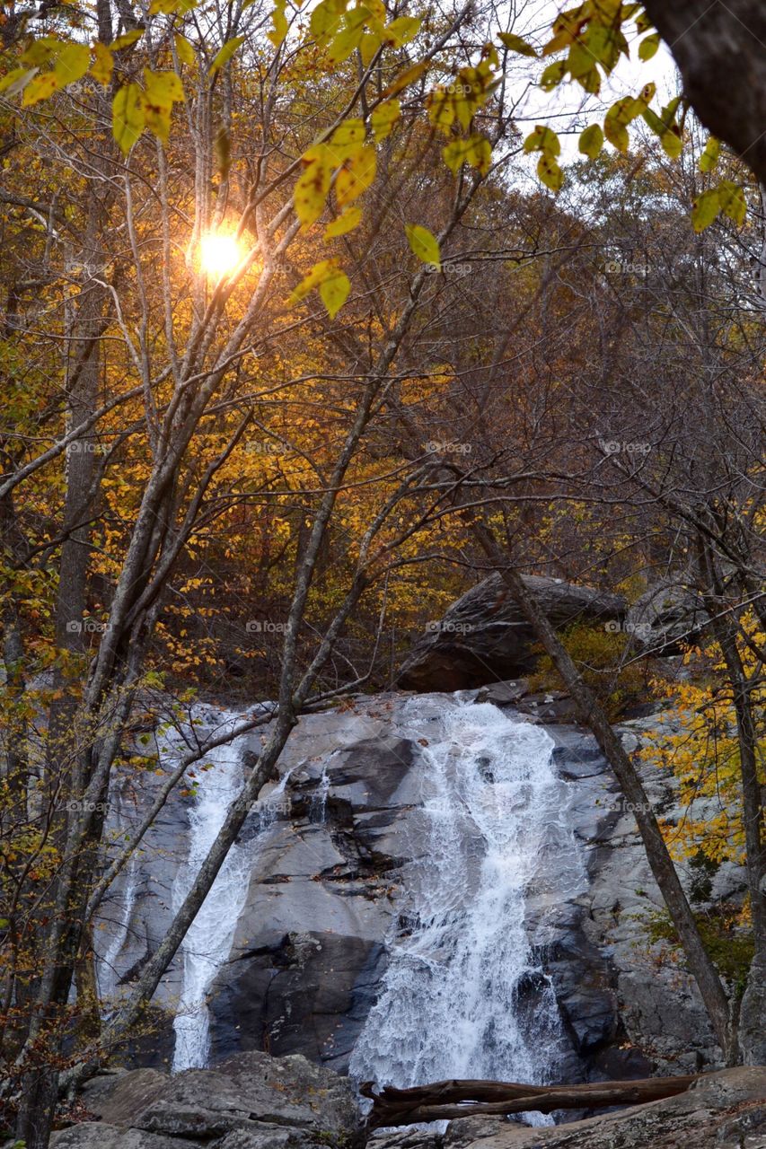 Water fall in forest during autumn