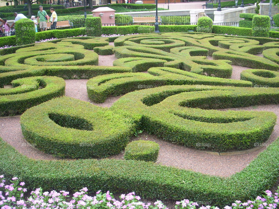 Garden maze. 