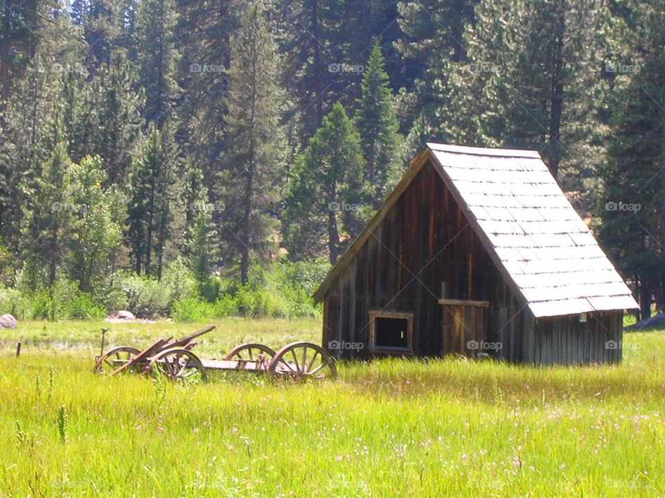 Old barn in the meadow