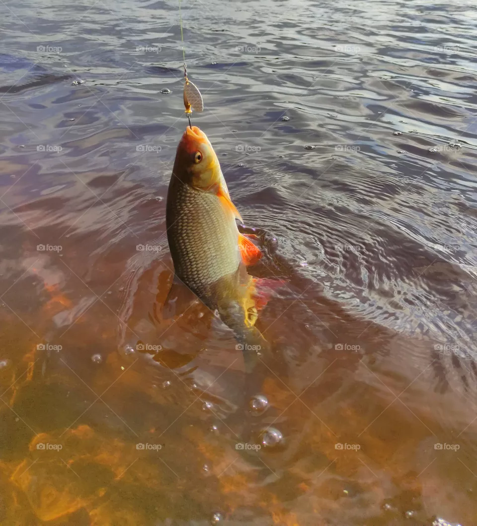 Fishing on the yazya