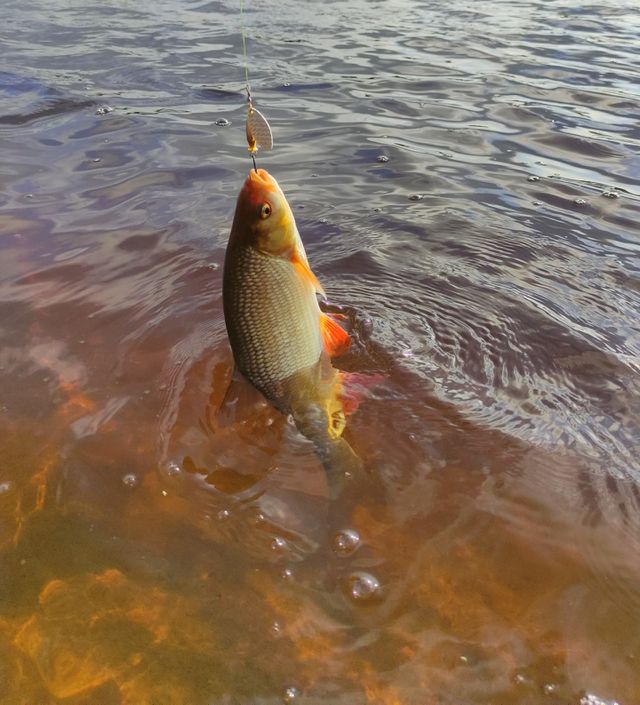 Fishing on the yazya