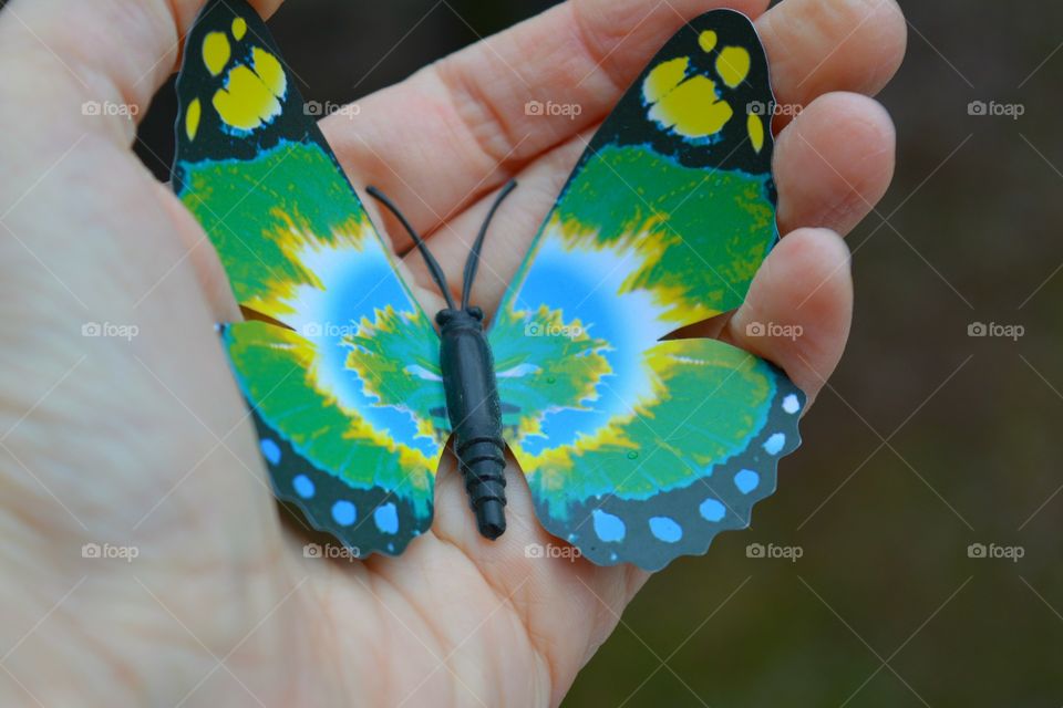 Butterfly, Nature, Outdoors, Summer, Creativity