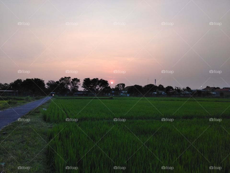 Vacay? Ready, steady, go!