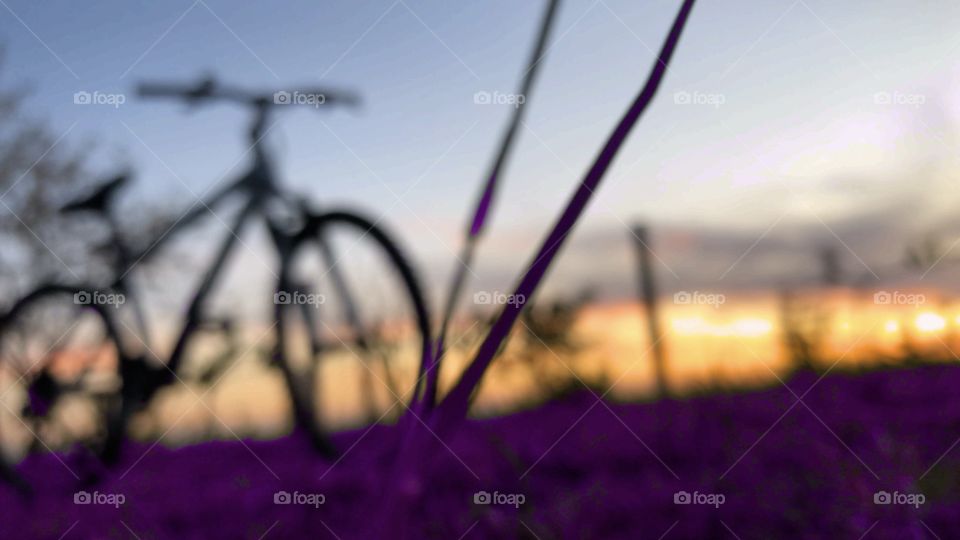 Bike & sunset 