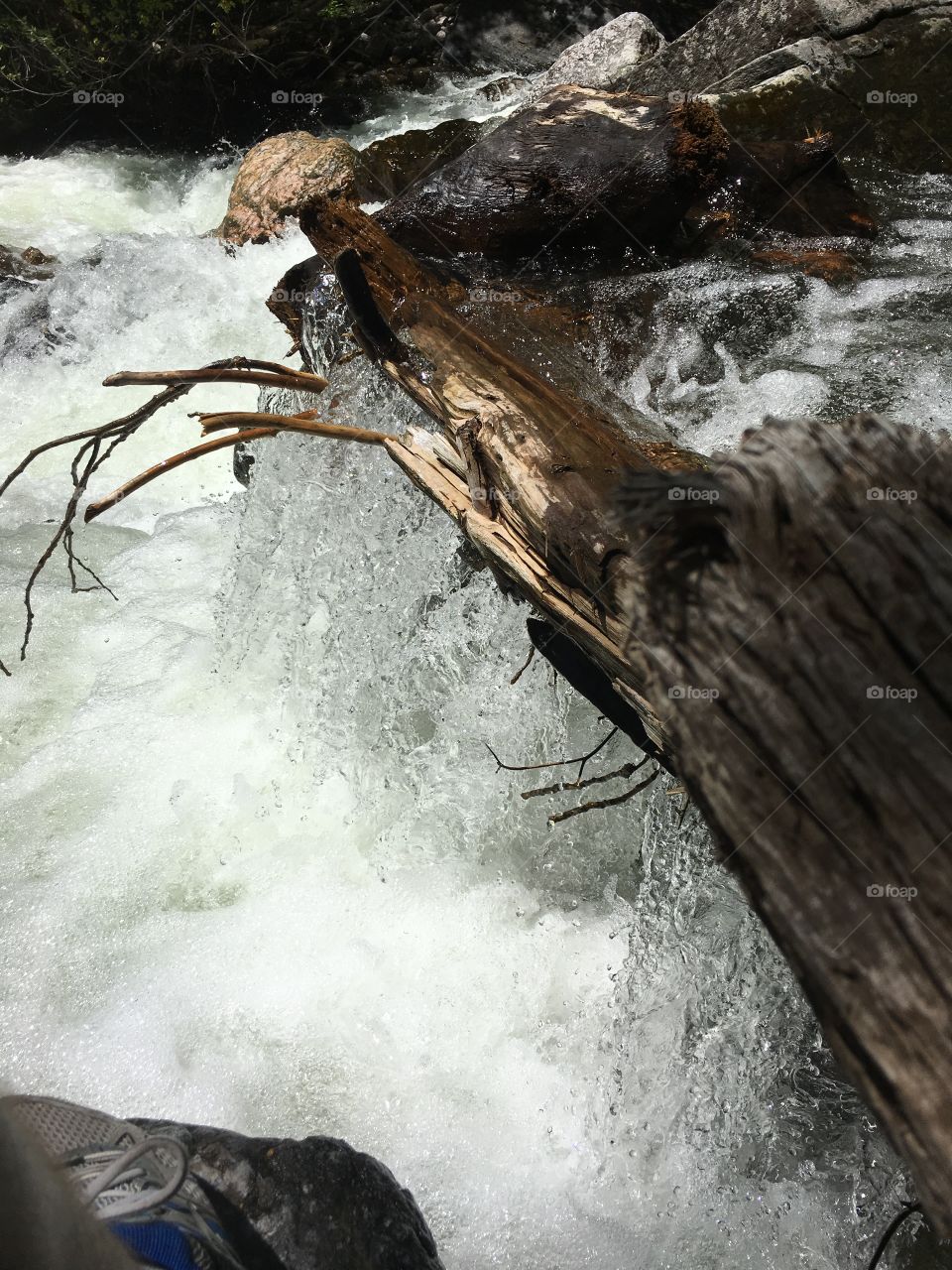 Flowing river over a tree
